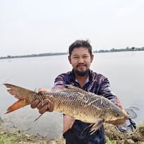 หัวเชื้อคาวตับ Roilee 40g | หัวเชื้อตกปลา หัวเชื้อผงเข้มข้น สำหรับผสมเหยื่อตกปลา