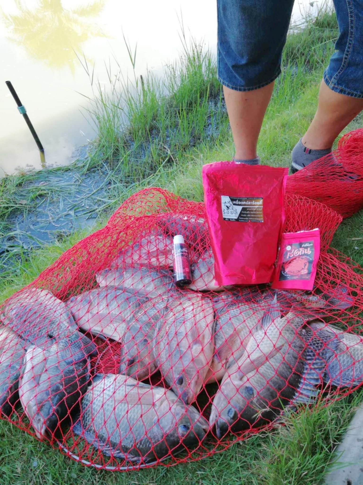 4 สหายสายหาบ (กลูเตน) | เหยื่อตกปลา หัวเชื้อตกปลา ชิงหลิว สะปิ๋ว เหยื่อปลานิล และ ปลากินพืช