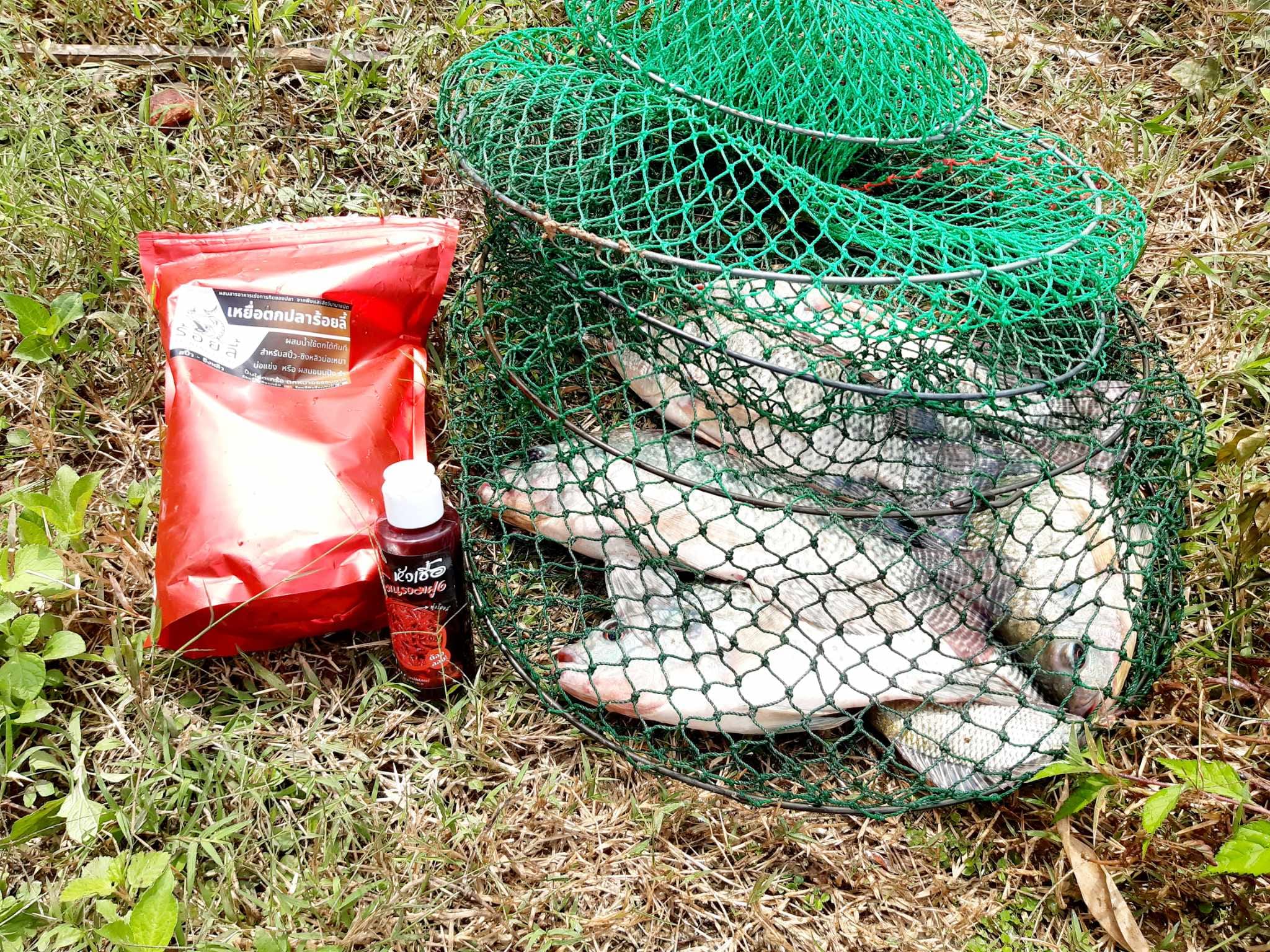 เหยื่อผงร้อยลี้ 1 กิโลกรัม – สูตรปลานิล สวาย ยี่สก ปลากินพืช ชิงหลิว สะปิ๋ว บ่อเหมา หมายธรรมชาติ