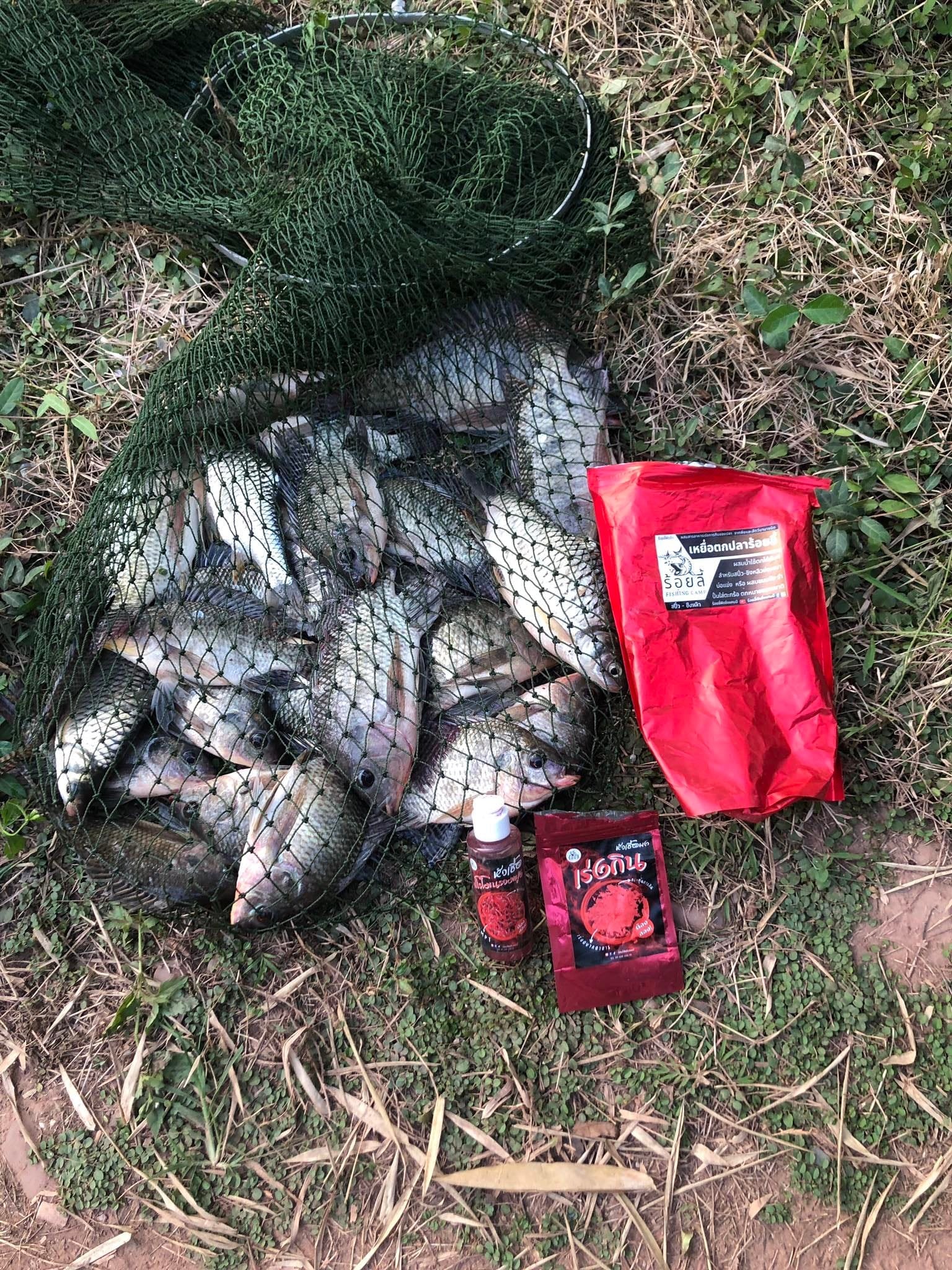 เหยื่อผงร้อยลี้ 1 กิโลกรัม – สูตรปลานิล สวาย ยี่สก ปลากินพืช ชิงหลิว สะปิ๋ว บ่อเหมา หมายธรรมชาติ