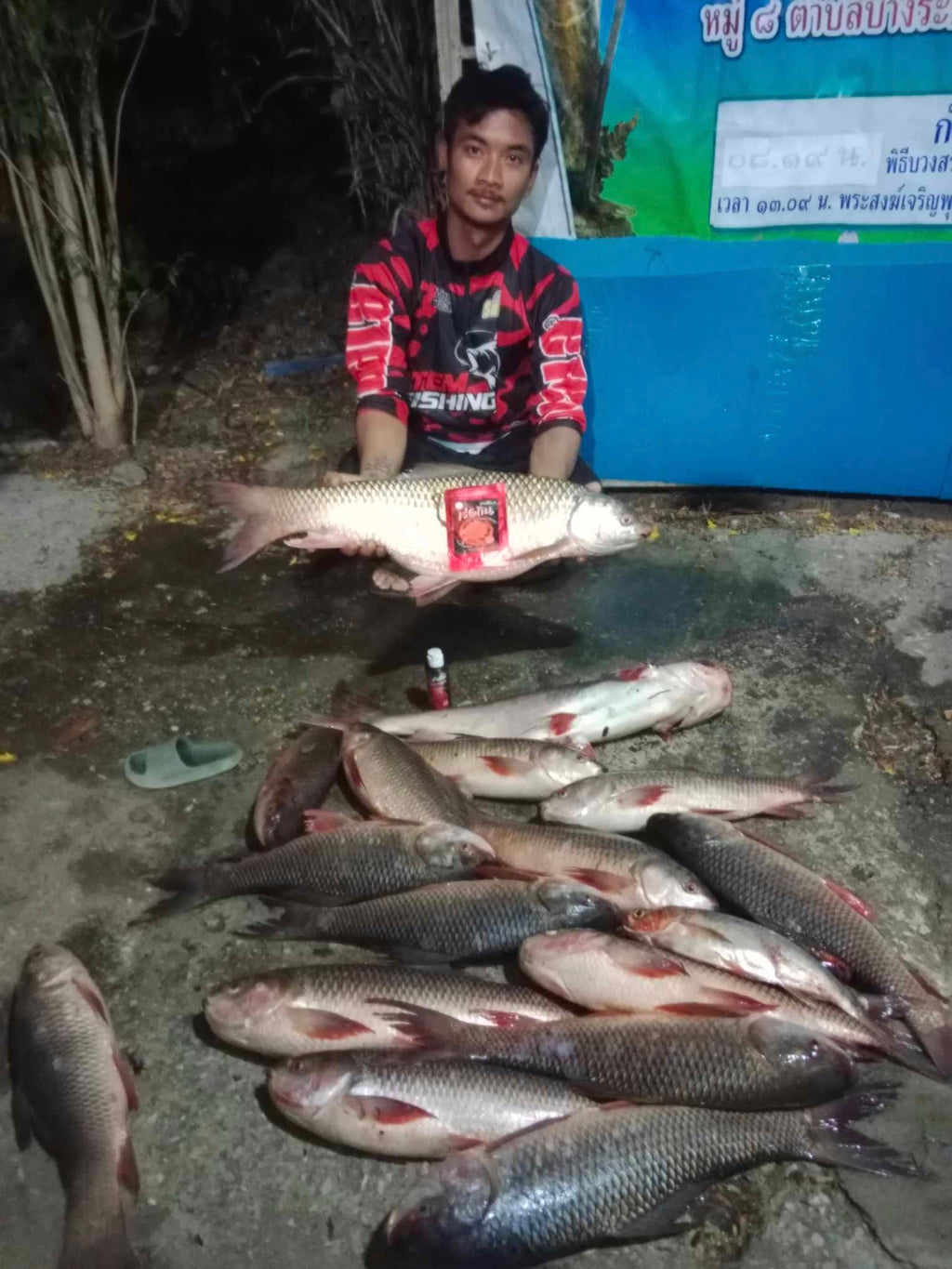 ชุดเหยื่อ 2 แถม 2  เหยื่อตกปลา หัวเชื้อตกปลา | กุ้งป่น + คาวตับ