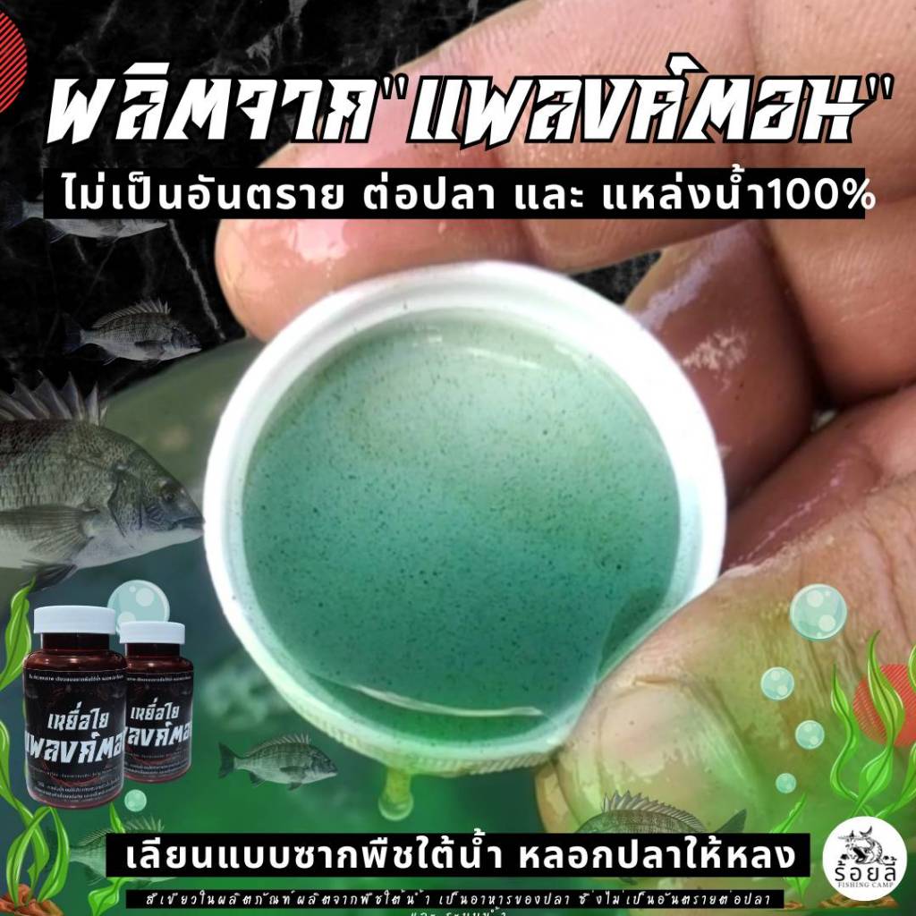 เหยื่อใยแพลงค์ตอน 1 กระปุก | เหยื่อตกปลา หัวเชื้อตกปลา ชิงหลิว ปลานิล บ่อเหมาบ่อแข่ง