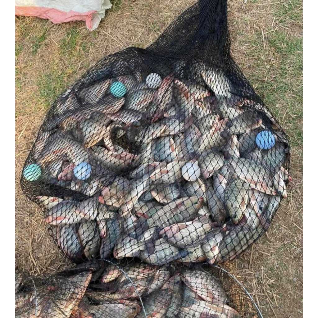 เหยื่อรูดร้อยลี้ – 250g | เหยื่อตกปลานิล หัวเชื้อตกปลา พร้อมตก ชิงหลิวบ่อเหมา หมายธรรมชาติ