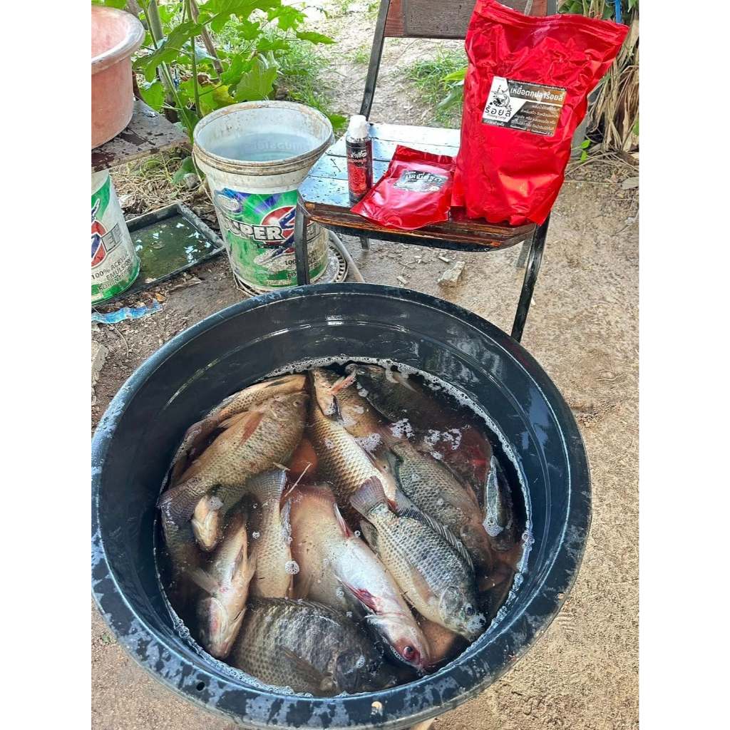 เหยื่อรูดร้อยลี้ – 250g | เหยื่อตกปลานิล หัวเชื้อตกปลา พร้อมตก ชิงหลิวบ่อเหมา หมายธรรมชาติ