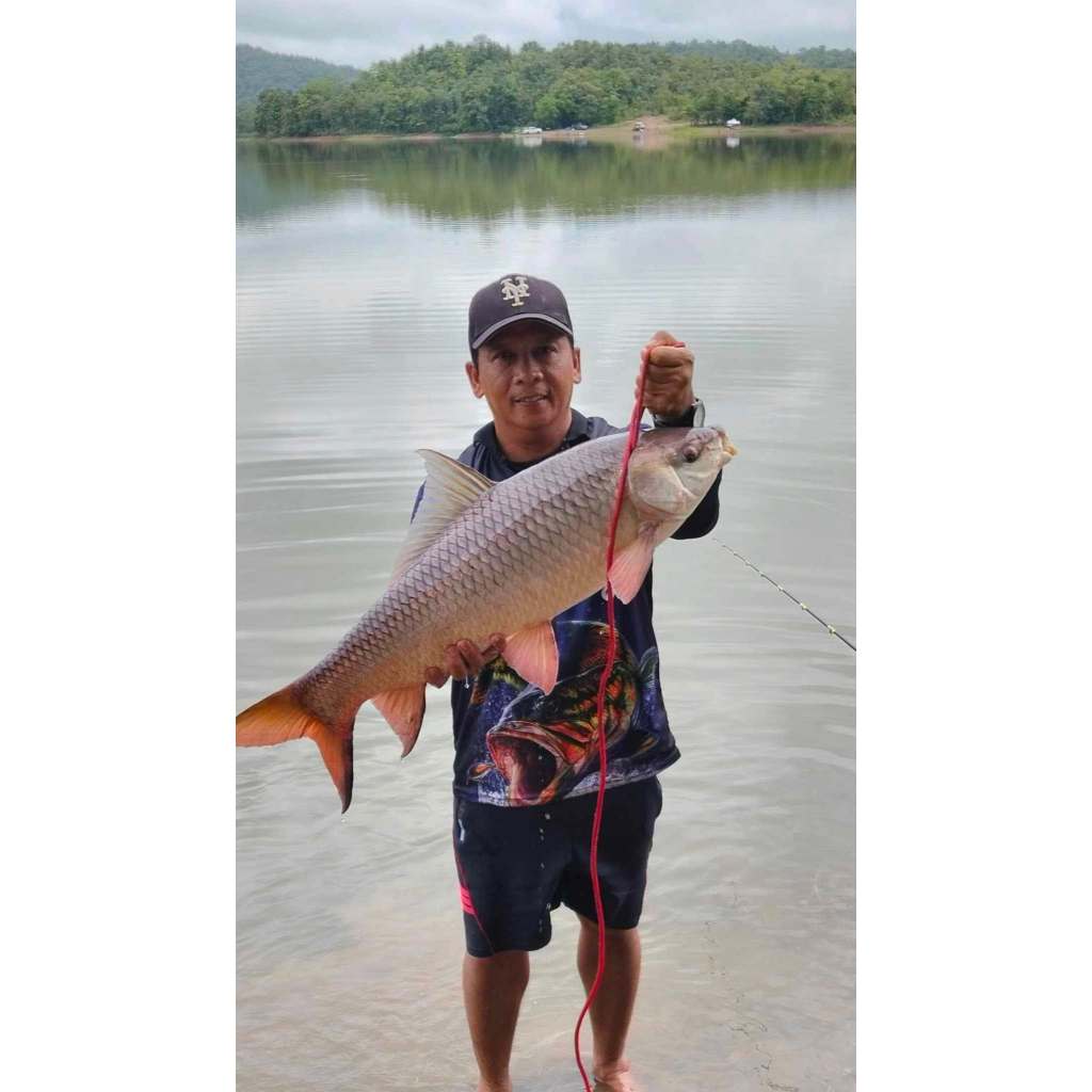 ครีมกะทิ ร้อยลี้ | หัวเชื้อตกปลา เหยื่อตกปลา หอม หวาน มัน