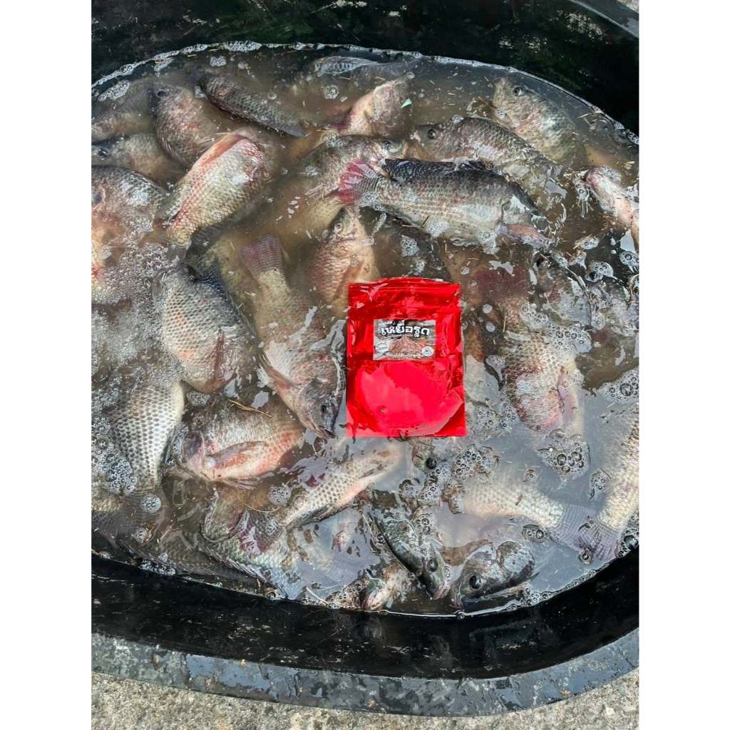 เหยื่อรูดร้อยลี้ – 250g | เหยื่อตกปลานิล หัวเชื้อตกปลา พร้อมตก ชิงหลิวบ่อเหมา หมายธรรมชาติ