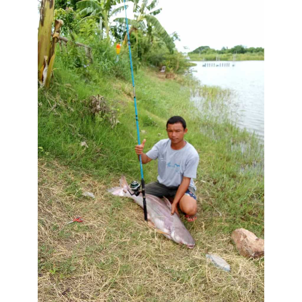 ครีมกะทิ ร้อยลี้ | หัวเชื้อตกปลา เหยื่อตกปลา หอม หวาน มัน